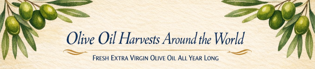 Why Olive Oil Is Always in Season: A Simple Guide to Global Harvests