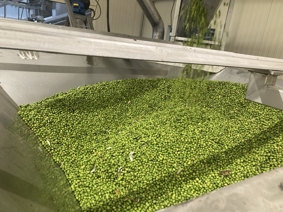 Our Philosophy: Ultra Premium, Freshest Globally Sourced, Extra Virgin Olive Oil