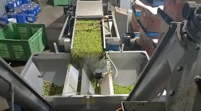 Cayenne Peppers being fused with olives for Graze Oil fused evoo